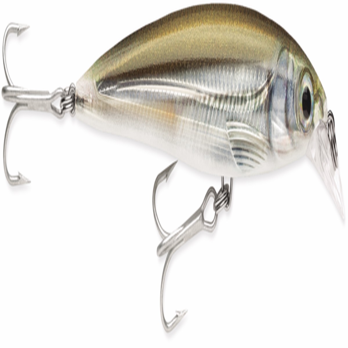 Rapala X Rap Xtreme Slashbait - Mangrove Minnow